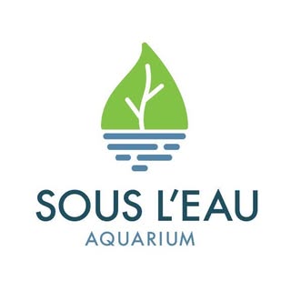 Sousleau logo