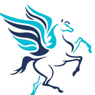 Flying Changes logo