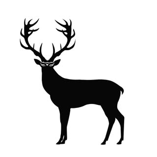 LAYMR logo