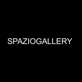 Spaziogallery logo