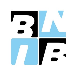 BNIB logo