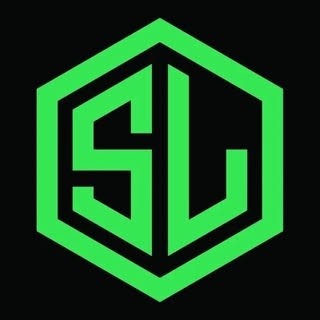 Skinlee logo