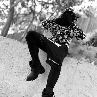 PAPER PLATOON - OFFICIAL MERCH logo