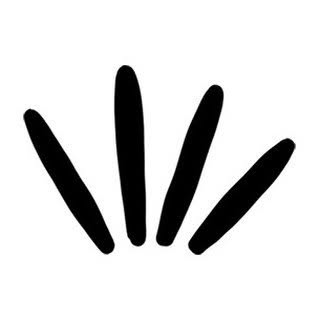 Sugar Spring Co logo