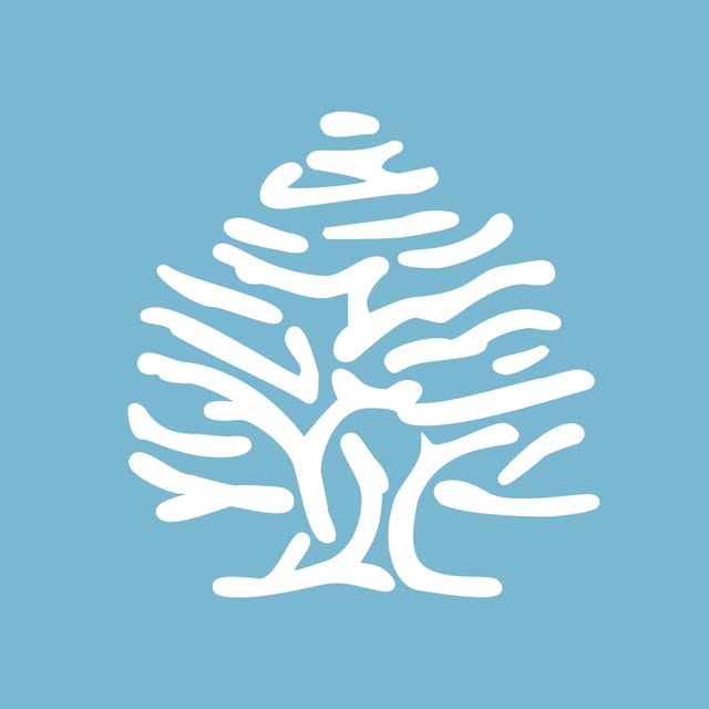 Springfield KSA logo