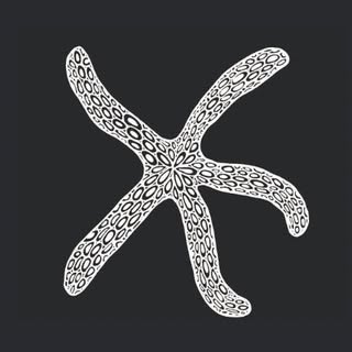 STARFISH STUDIO logo