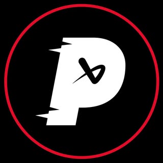 Puck Stop Ltd logo