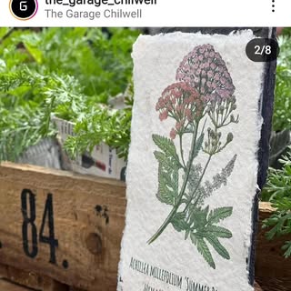 Organic Plant Nursery logo