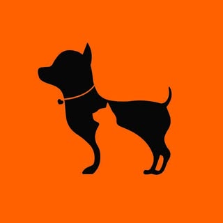 Heads Up For Tails logo