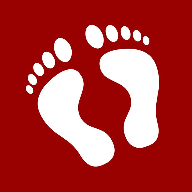 2BigFeet logo
