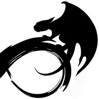 Dragoyle LLC logo