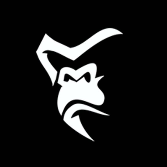 Silverback Gymwear logo