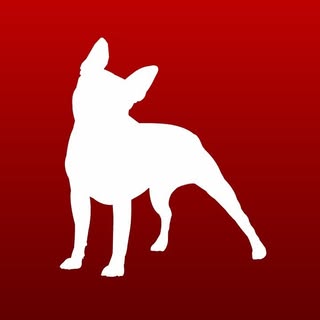 Boston Terrier World logo