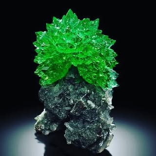 Superb Minerals logo