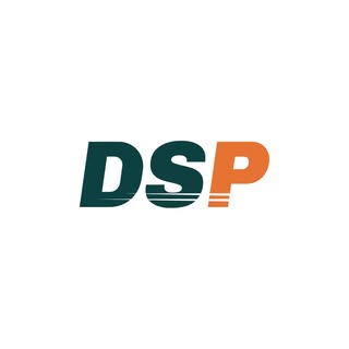 Dualsport Plus logo