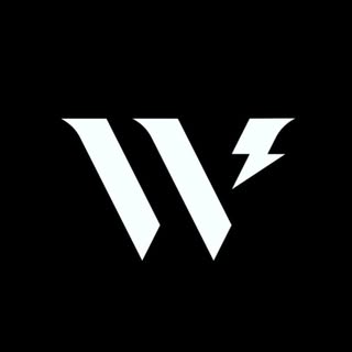 wearethewildco logo