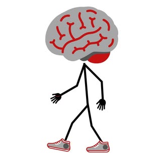 Training-1st logo