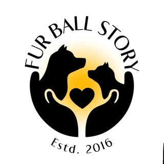 Fur Ball Story logo