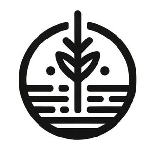 Wooden Touch logo
