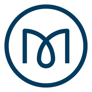 MSBLUE Jewelry logo