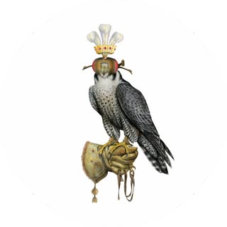 The Fraternity & Co logo