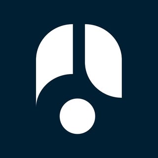 Nobl Guitar logo