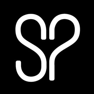 Salon Perfect logo