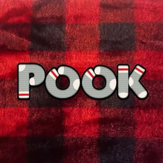 Pook logo