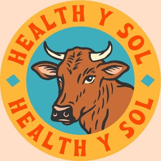 Health y Sol logo