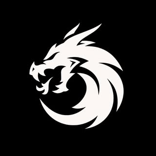 Dragon Motorsport logo