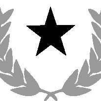 Natural Citizen logo