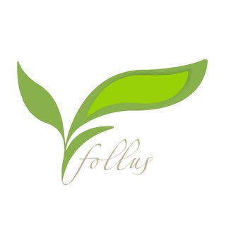 Follus logo