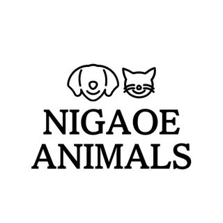 NIGAOE ANIMALS logo