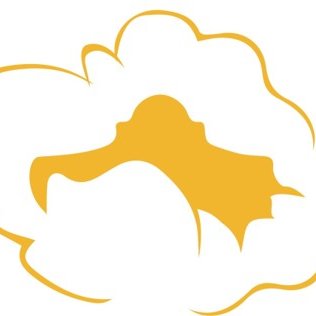 Alamo City Popcorn Company logo