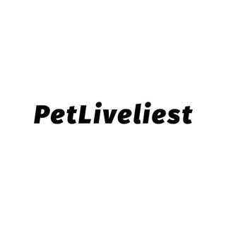 PetLiveliest logo