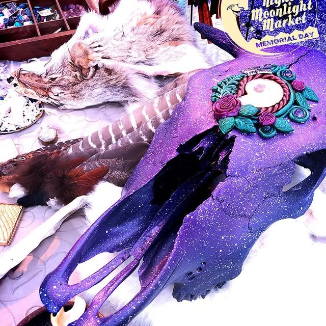 Steamy Antiquities logo