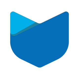 MightySkins logo