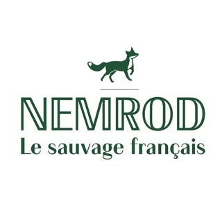 Nemrod.co logo