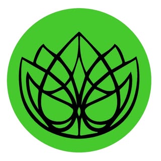 Energize Health logo