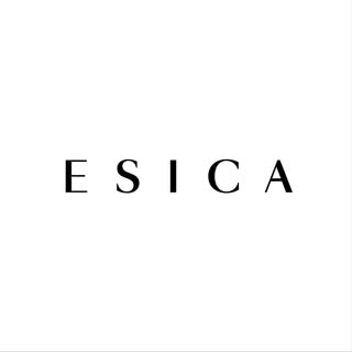 ESICA logo