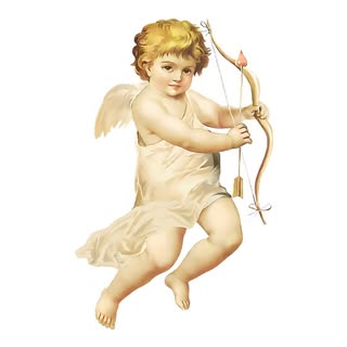 CupidoDesign logo