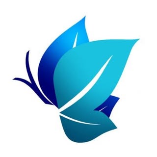 Butterflies Eyecare logo