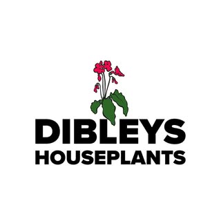 Dibleys logo