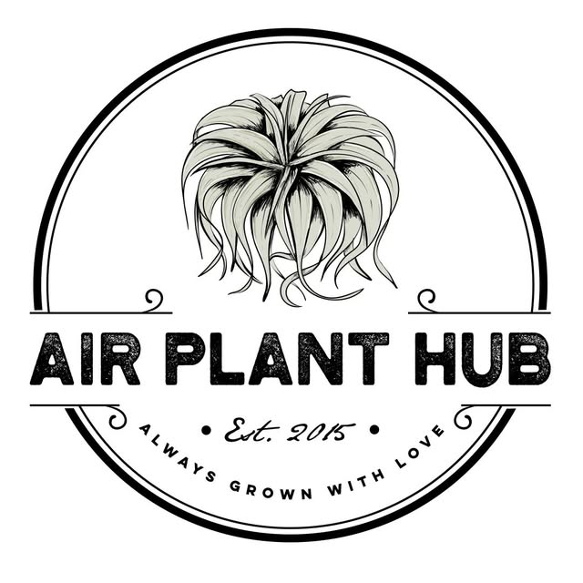 Air Plant Hub logo