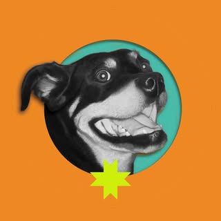 Shine Pet Food Co. logo