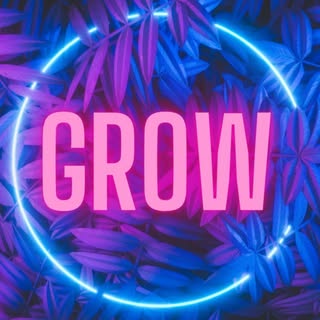 Hollywood Hair Bar logo