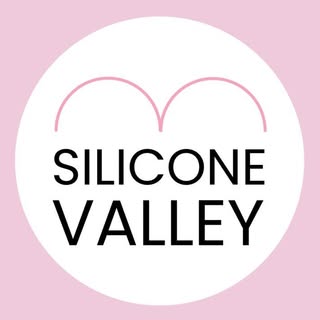 SiliconeValley logo