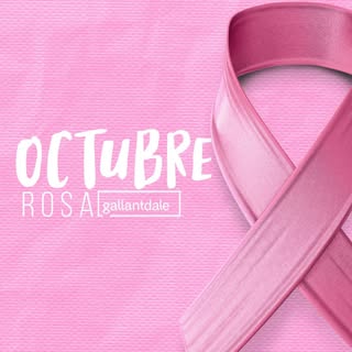 Gallantdale Uniformes logo