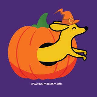 Plaza animal productos y servicios s.a. de c.v. logo