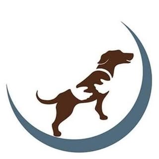 Natural Choice Pet Foods logo
